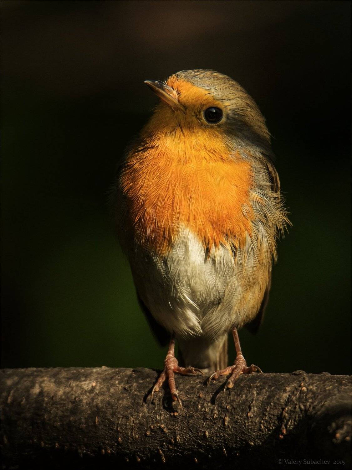, Валерий Субачев