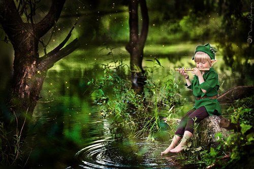 Эльфийская сказка