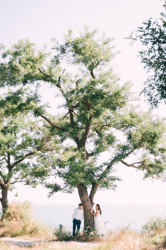 wedding  фото превью
