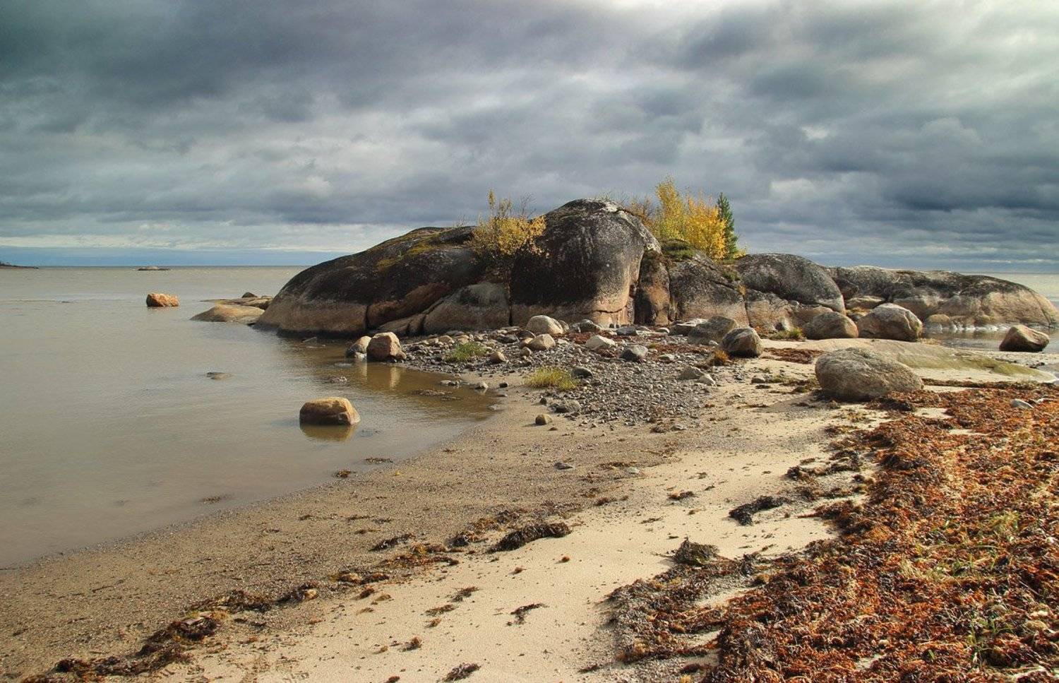 , Александр Коротков