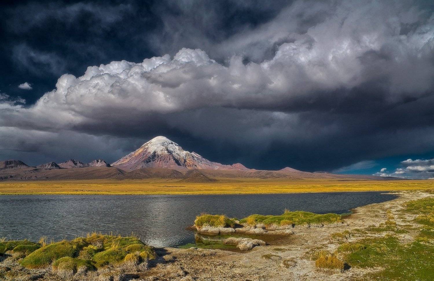 , Алексеевич