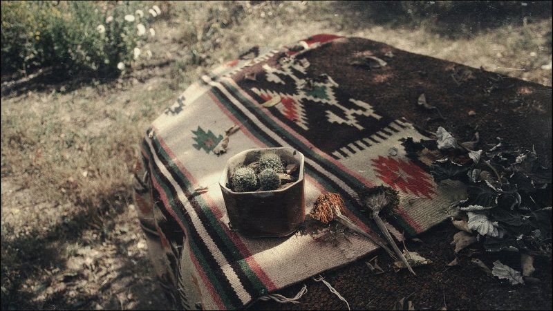 Осень, Природа Красота в деталях фото превью