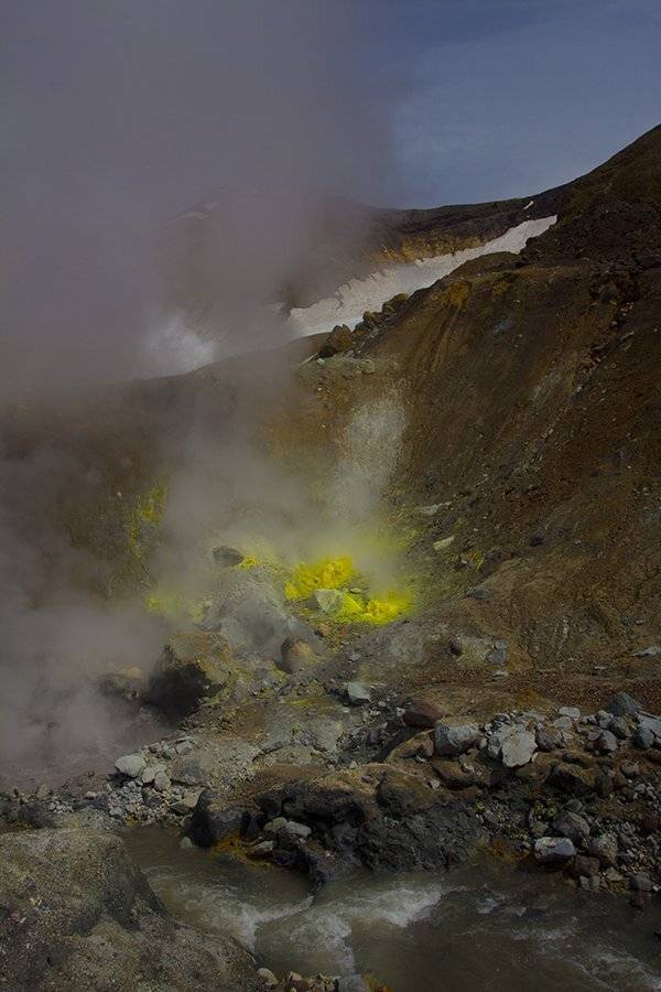 , Петрова Татьяна