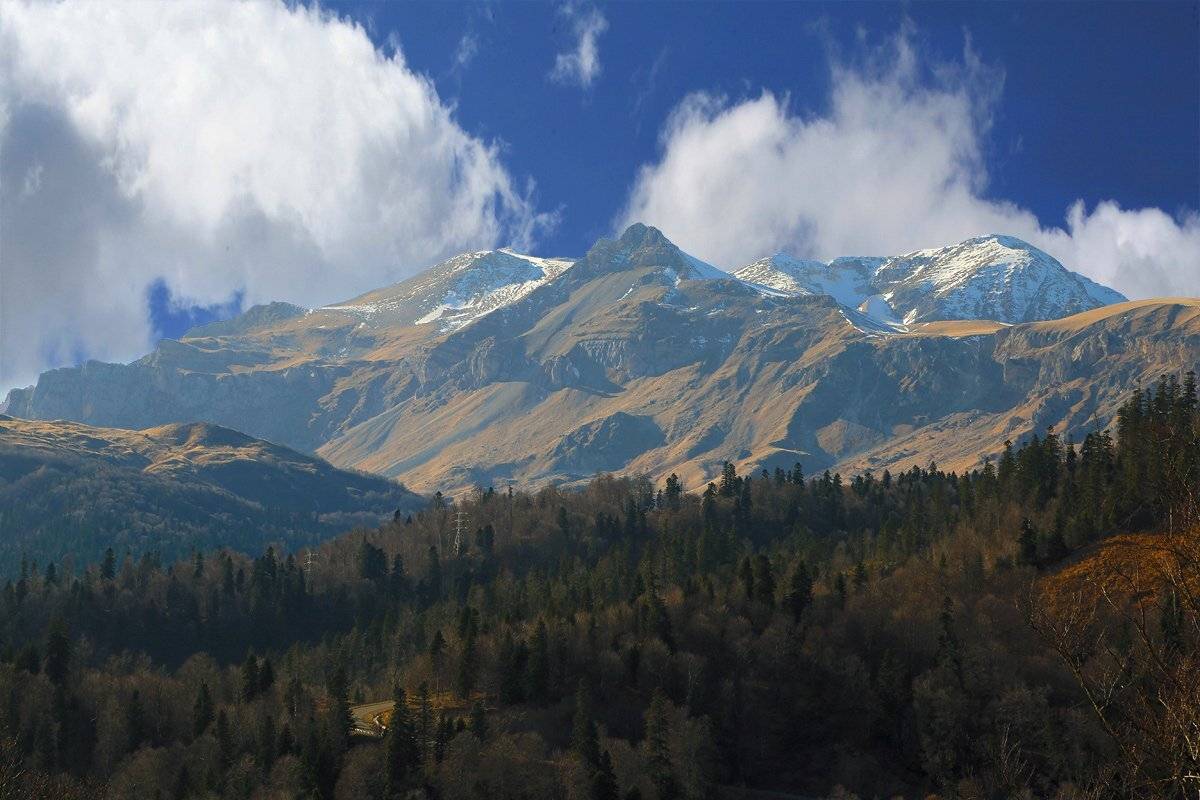 , Алексей Рыльский