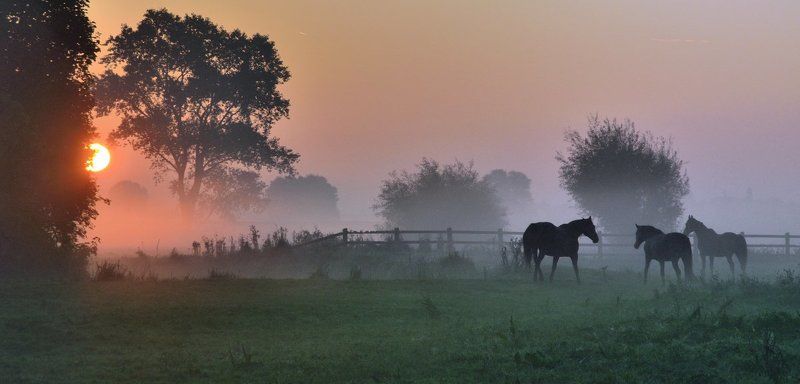 Morning in Zarren. фото превью