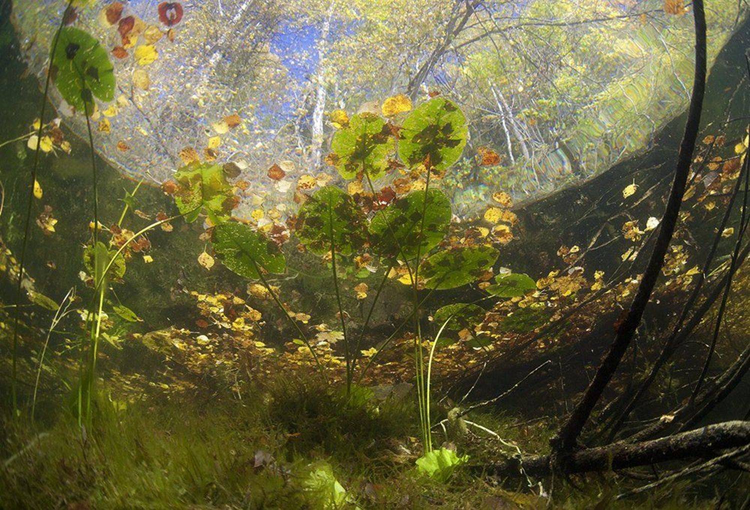 , Эдуард VTORNIK  Николаев