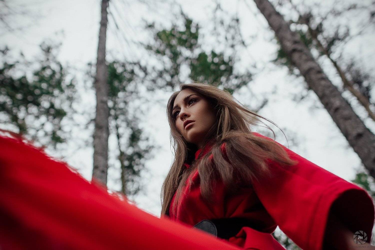 , Михаил Землянов