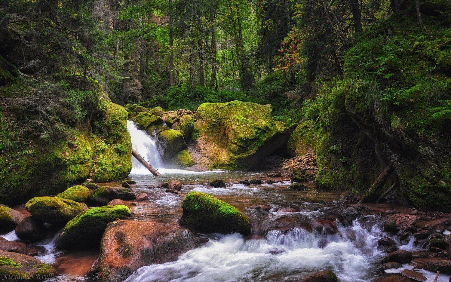 кавказ, кчр, шантацара, Александр Круль