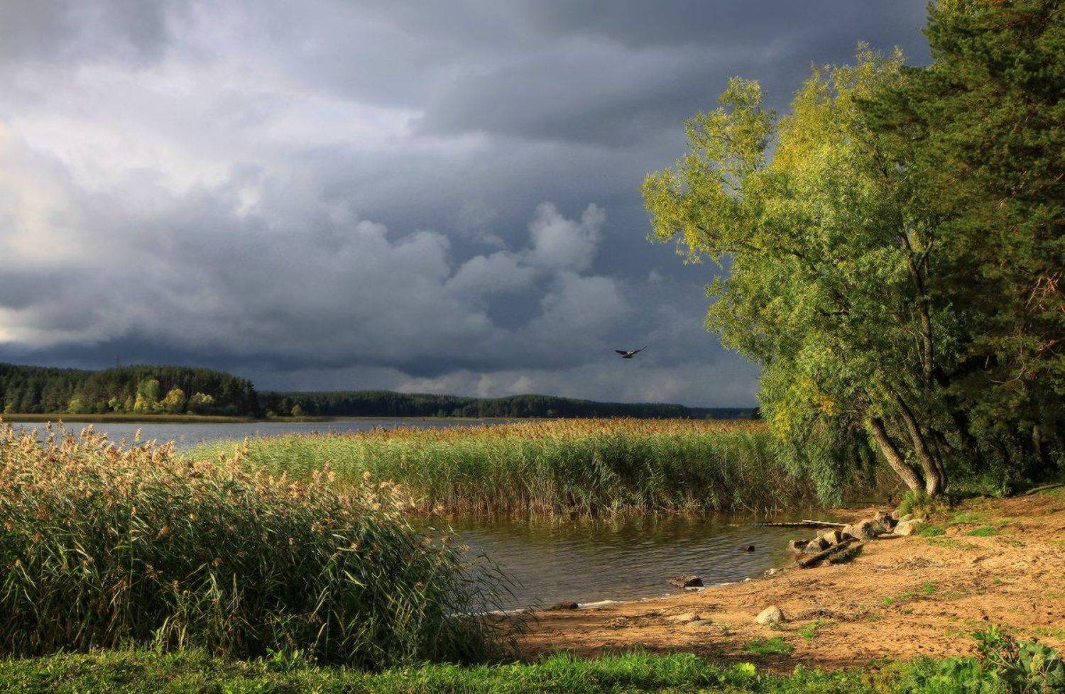 озеро селигер, тверская область, гроза, туча, Галина Хвостенко