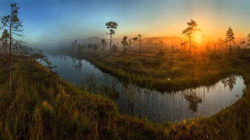 Холод утра, и жар солнца.