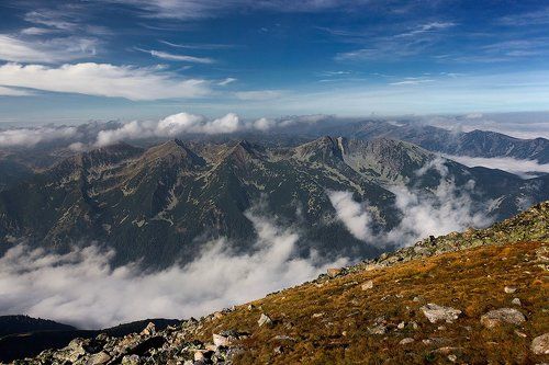 Рила