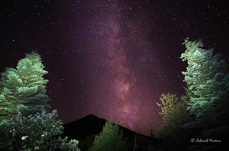 про пихты, горы и Млечный путь фото превью