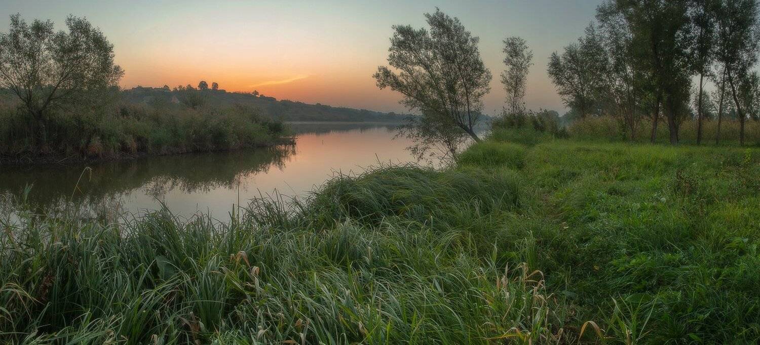 , Сергей Добровольский