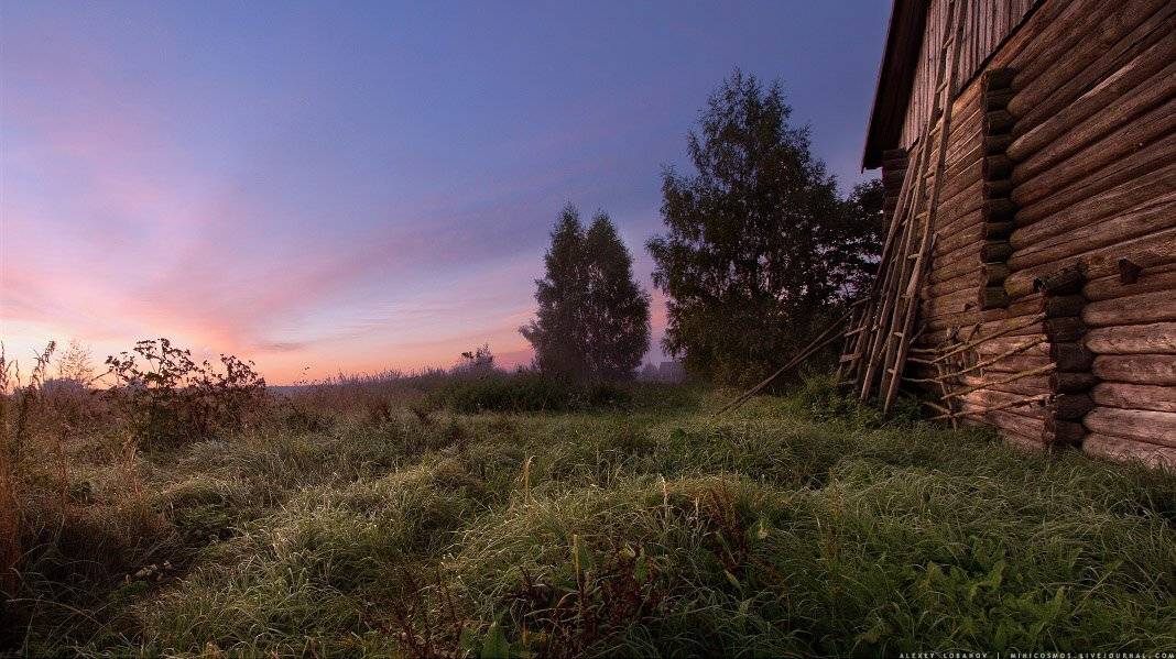 Ярославская область, Алексей Лобанов