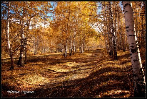 Осень в горах Тянь шань.