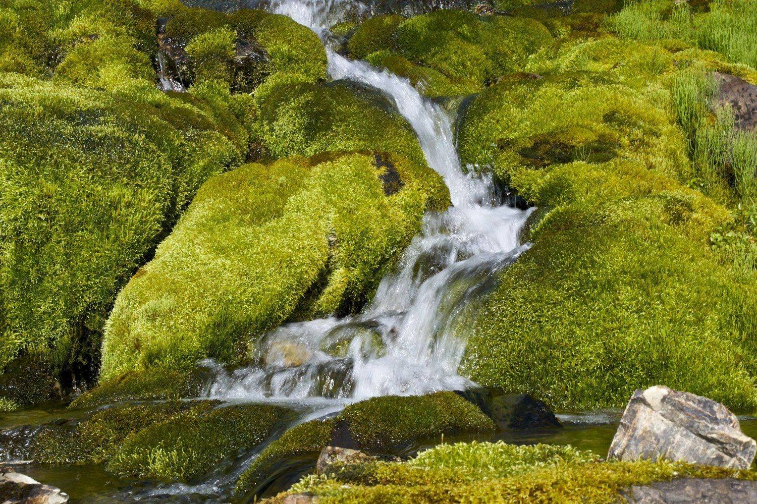 , Александр Бурдин