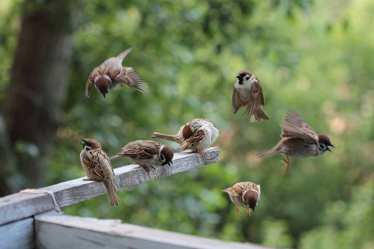 , Аркадий Московченко