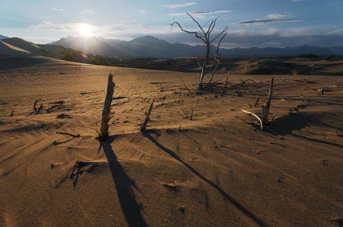 В Чарских песках - часть первая.