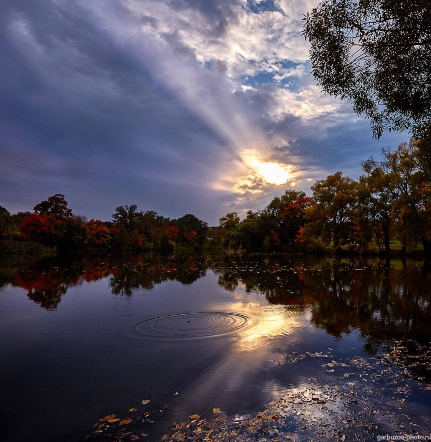 , Гарбузов Илья