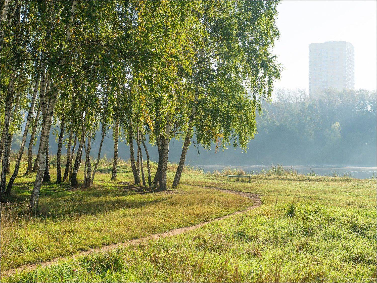 Балашиха, Березы, Город, Пейзаж, Подмосковье, Утро, Юрий Дегтярёв