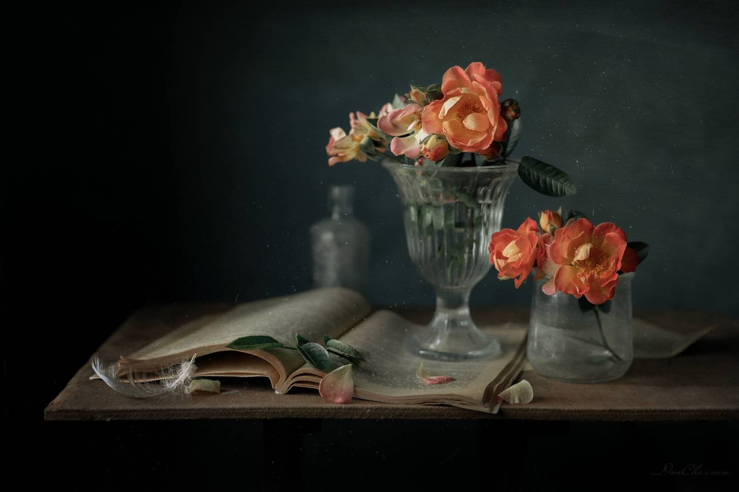 , Чернин Дмитрий