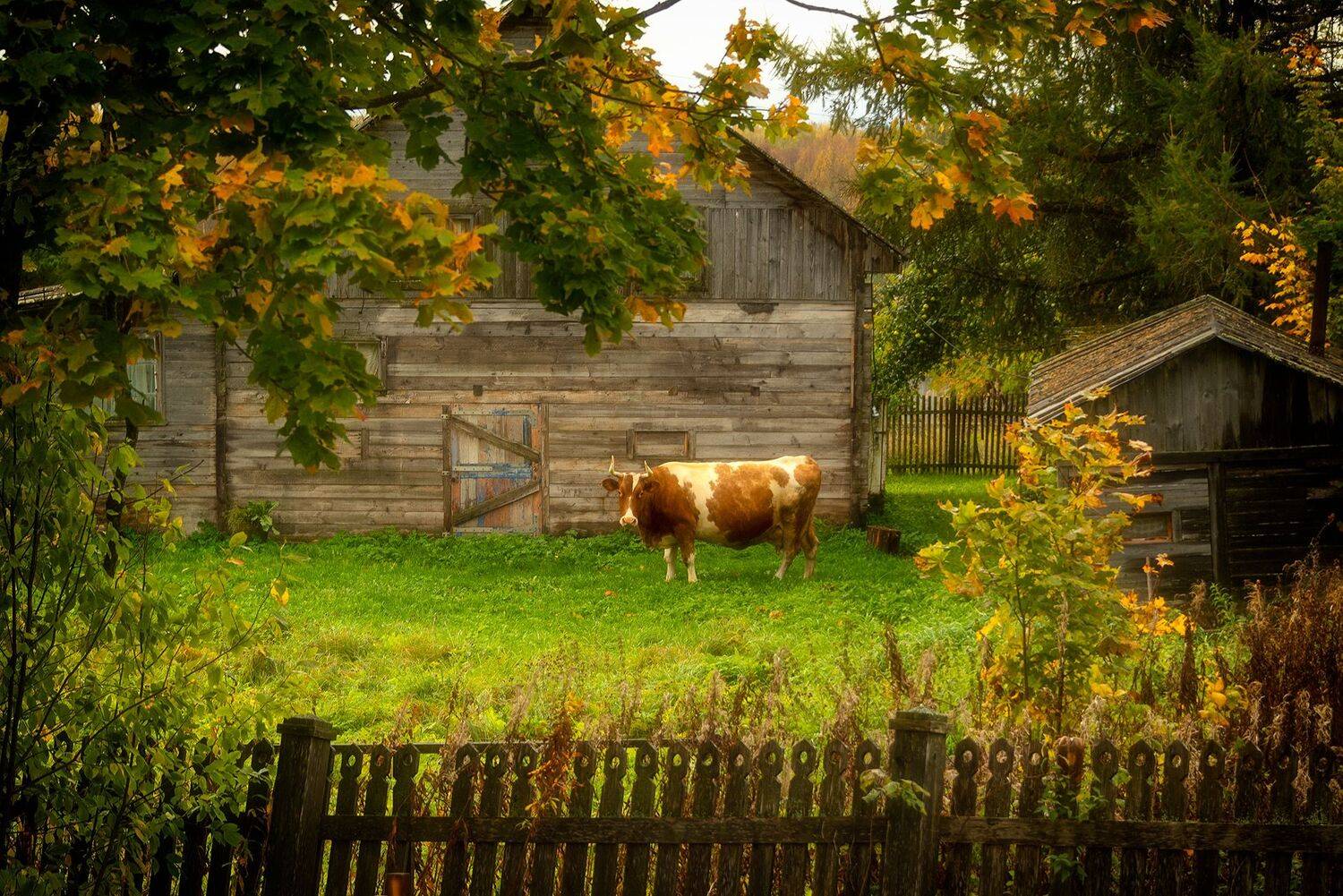 , Вячеслав Косенков