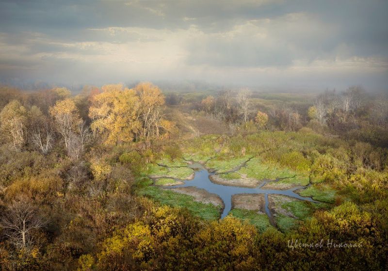 туман, рассвет, осень * фото превью