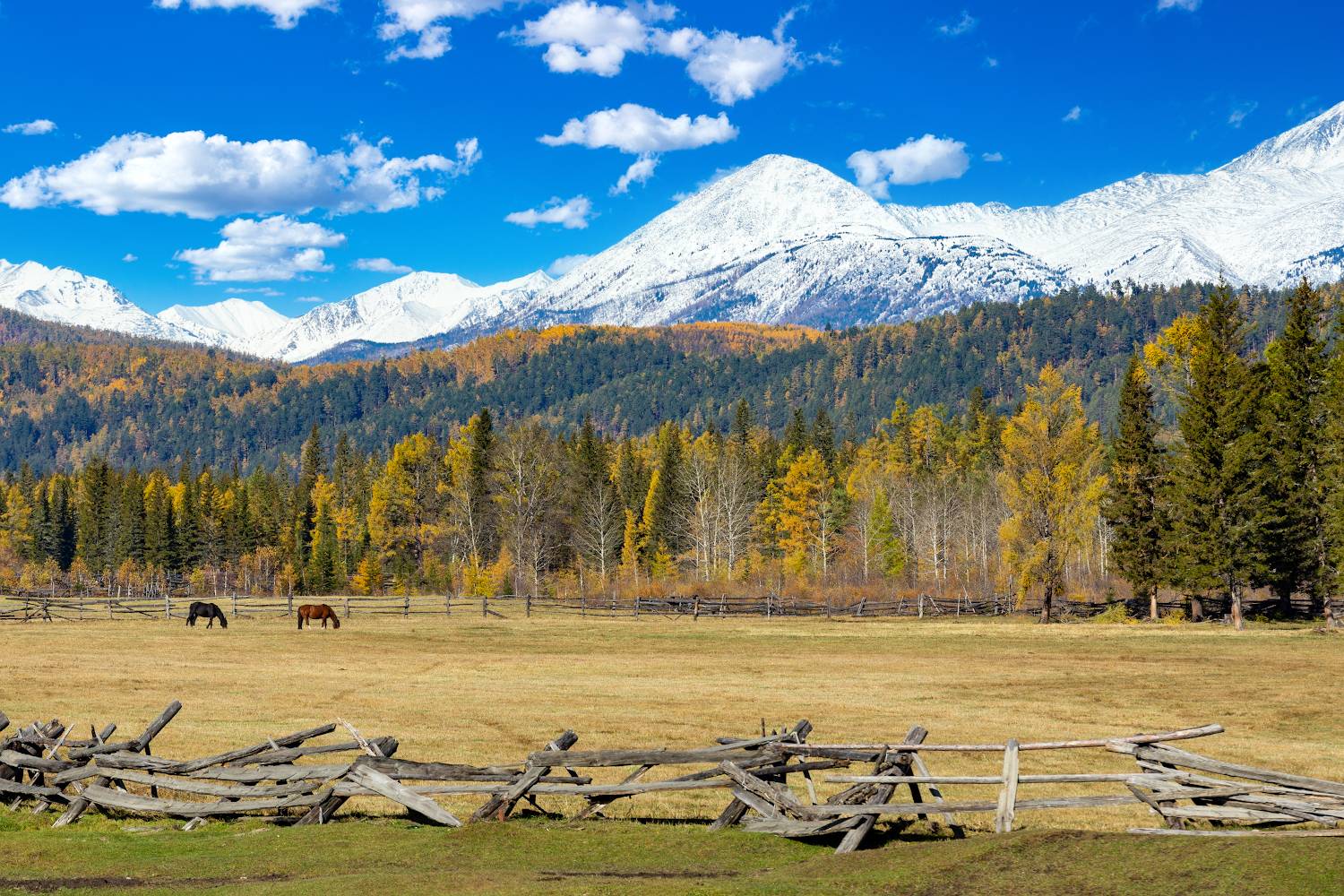 , Буянов Илья