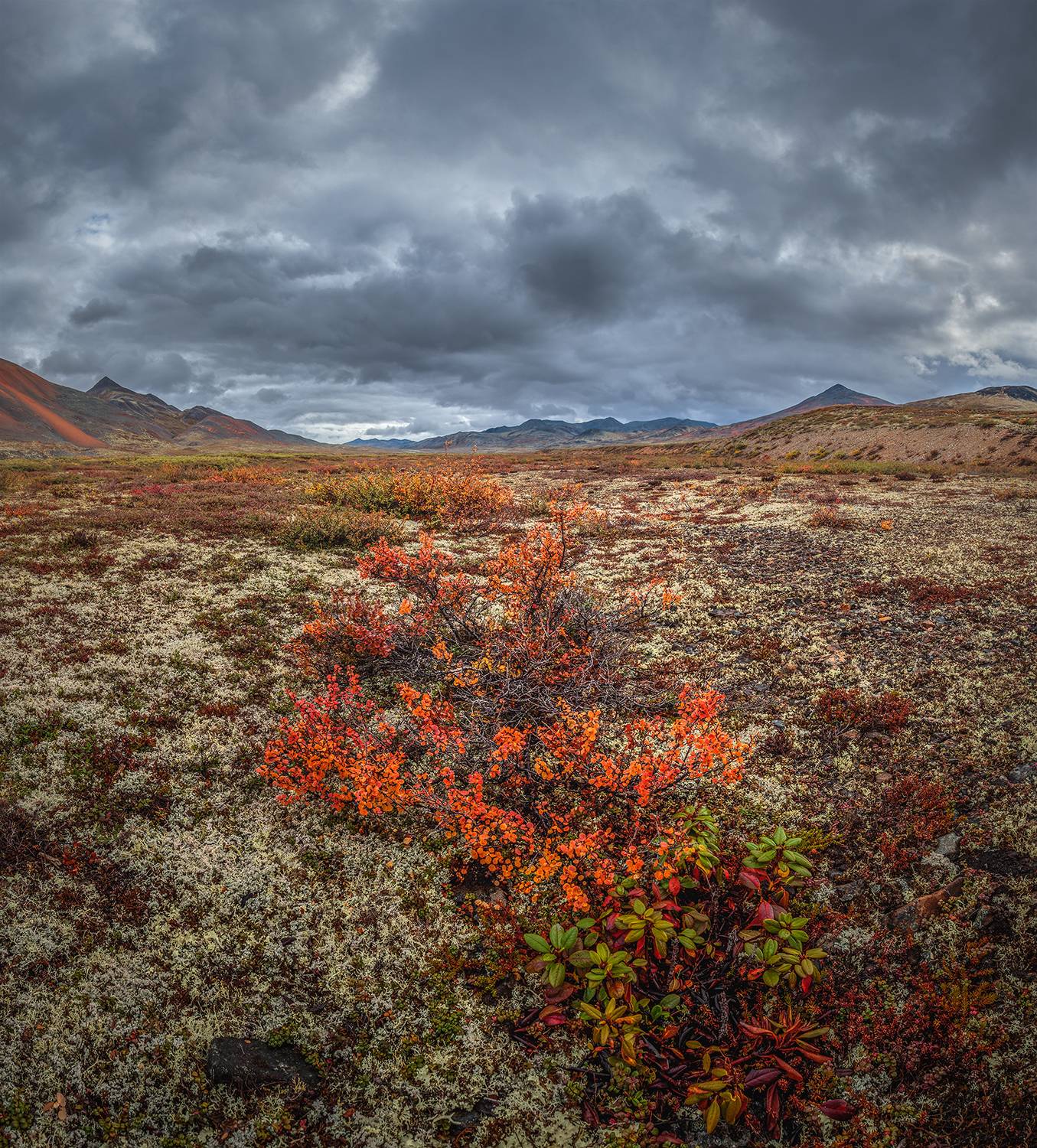 , Андреев Николай