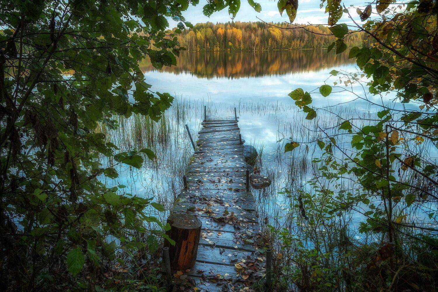 , Вячеслав Косенков