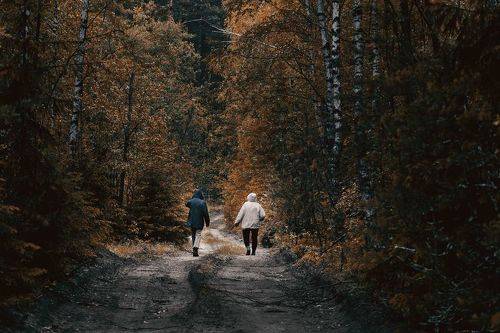 Прогулка в лесу