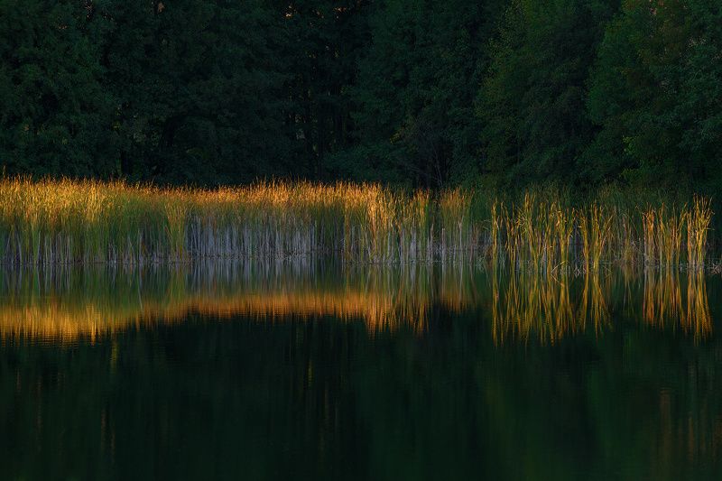 Вечер... фото превью