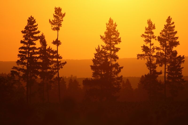 Рассветные дали фото превью