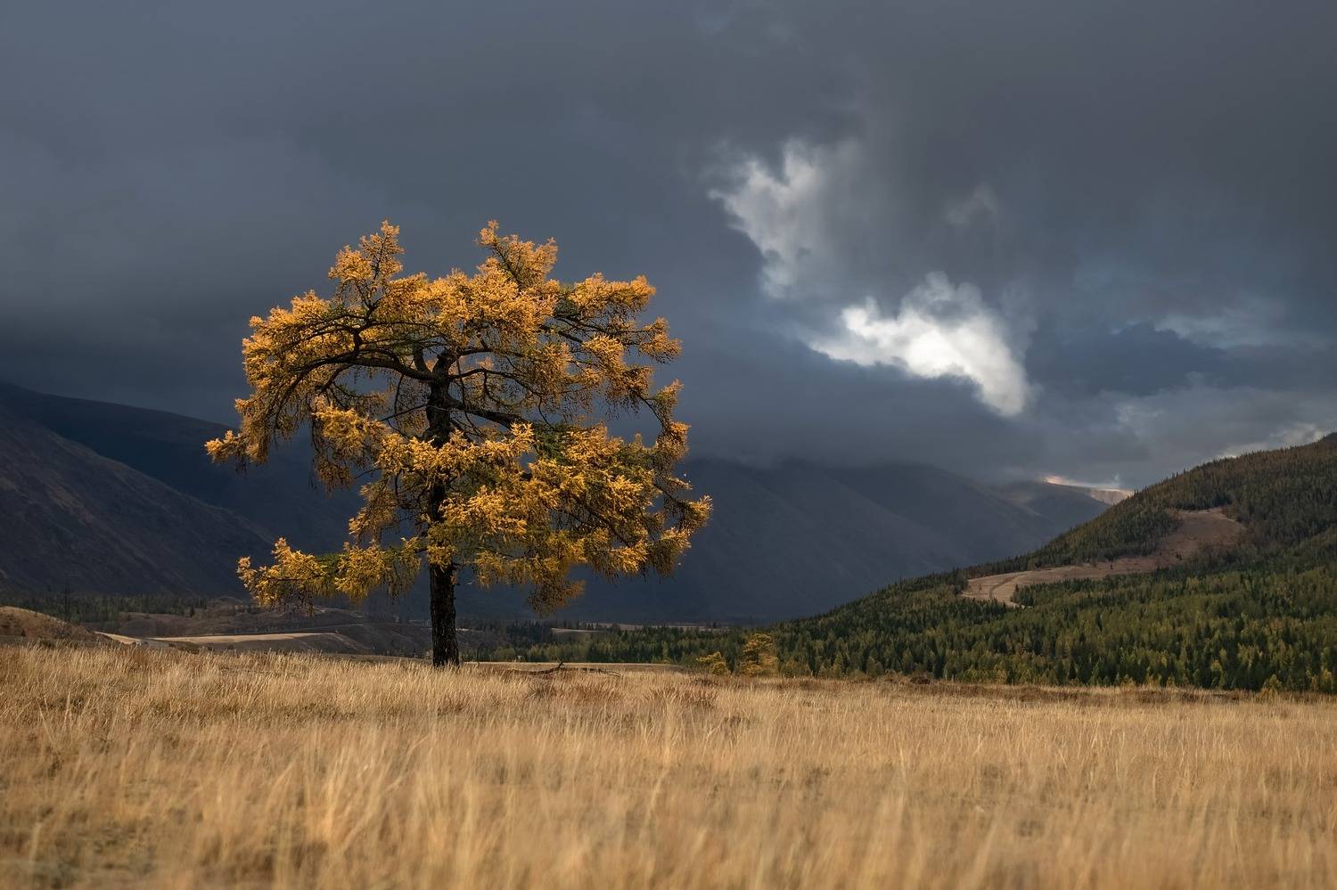 алтай 2023, осень, сентябрь, гроза, Фомина Марина