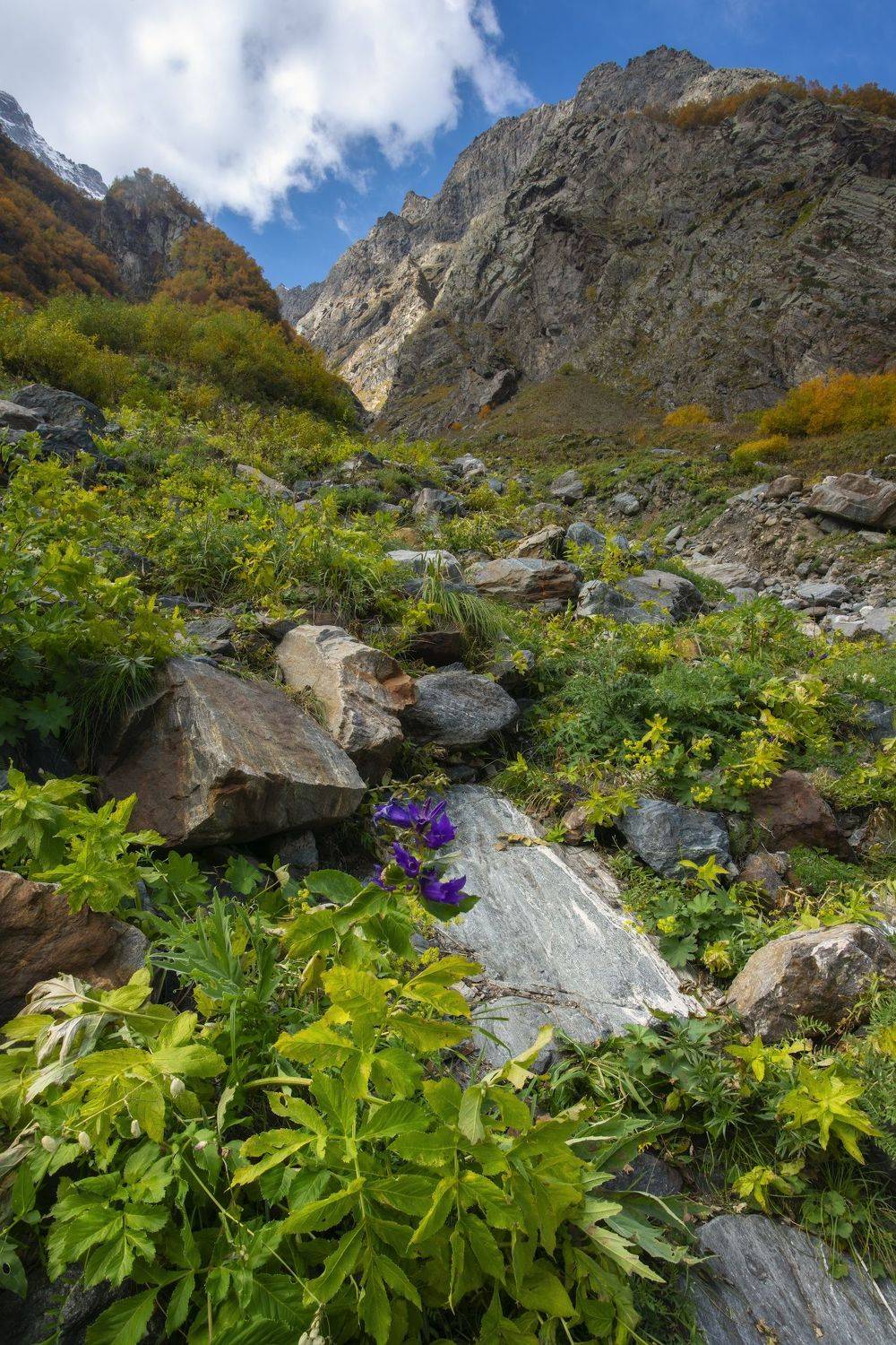 , Юлия Мальцева