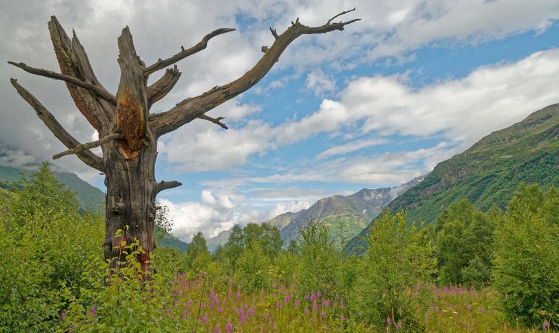 фото превью