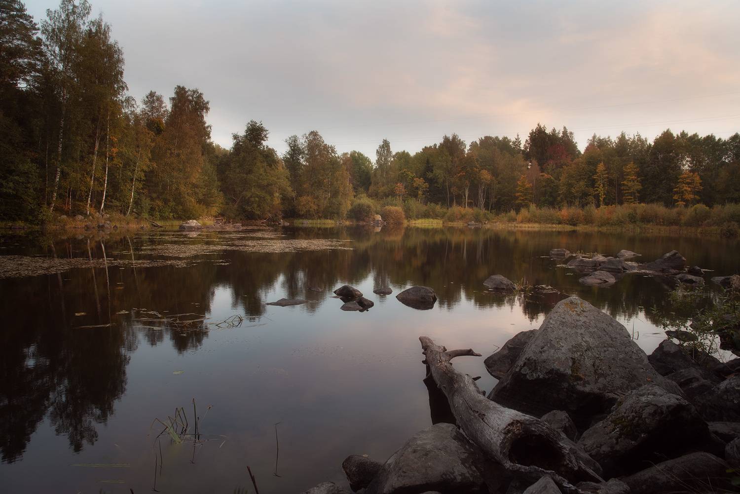 ленинградская область, лес,  осень, озеро, Чавыкина Анастасия