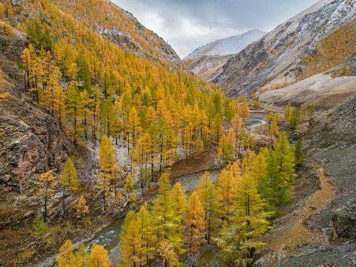 Сентябрь.../ September...