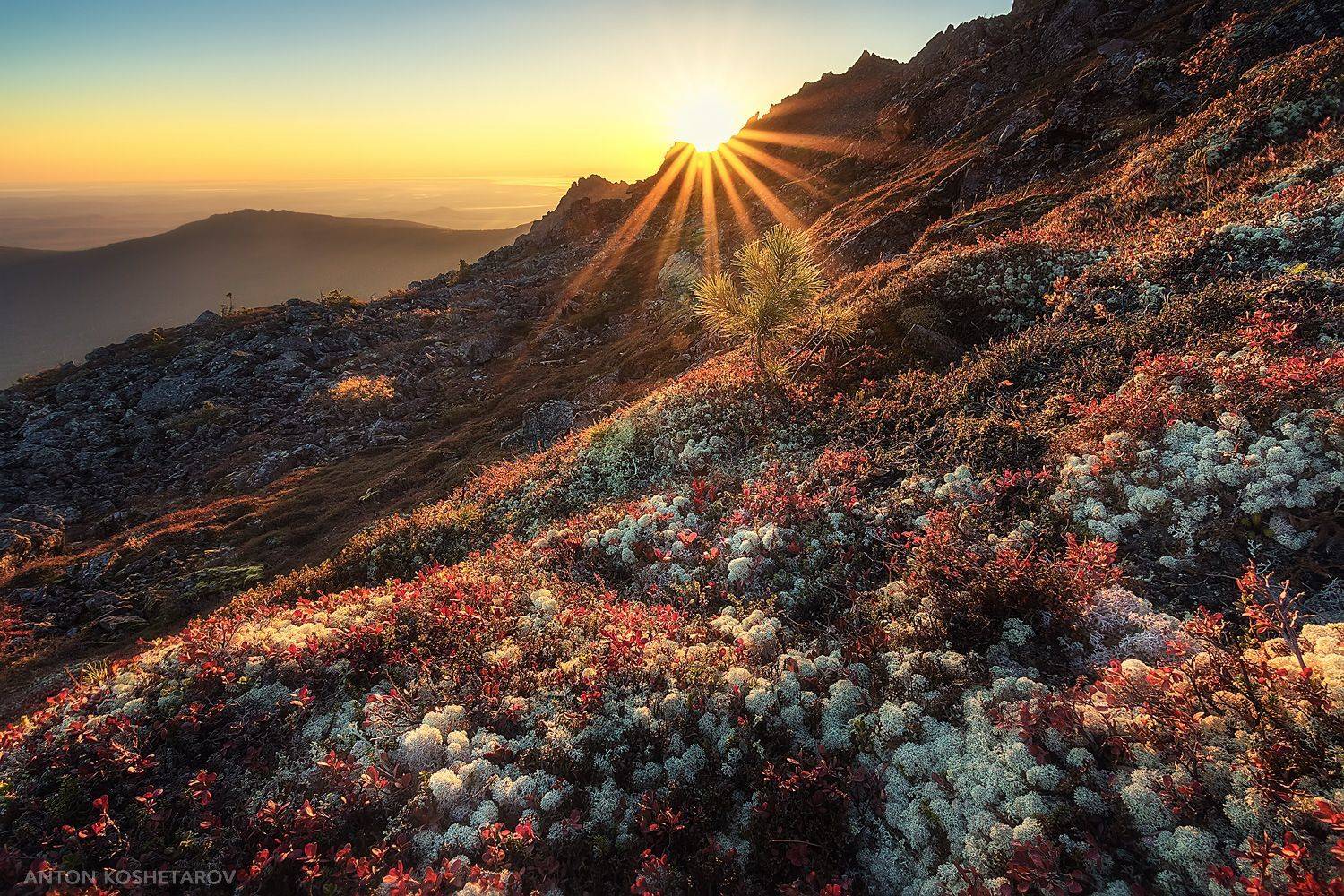 , Антон Кошетаров