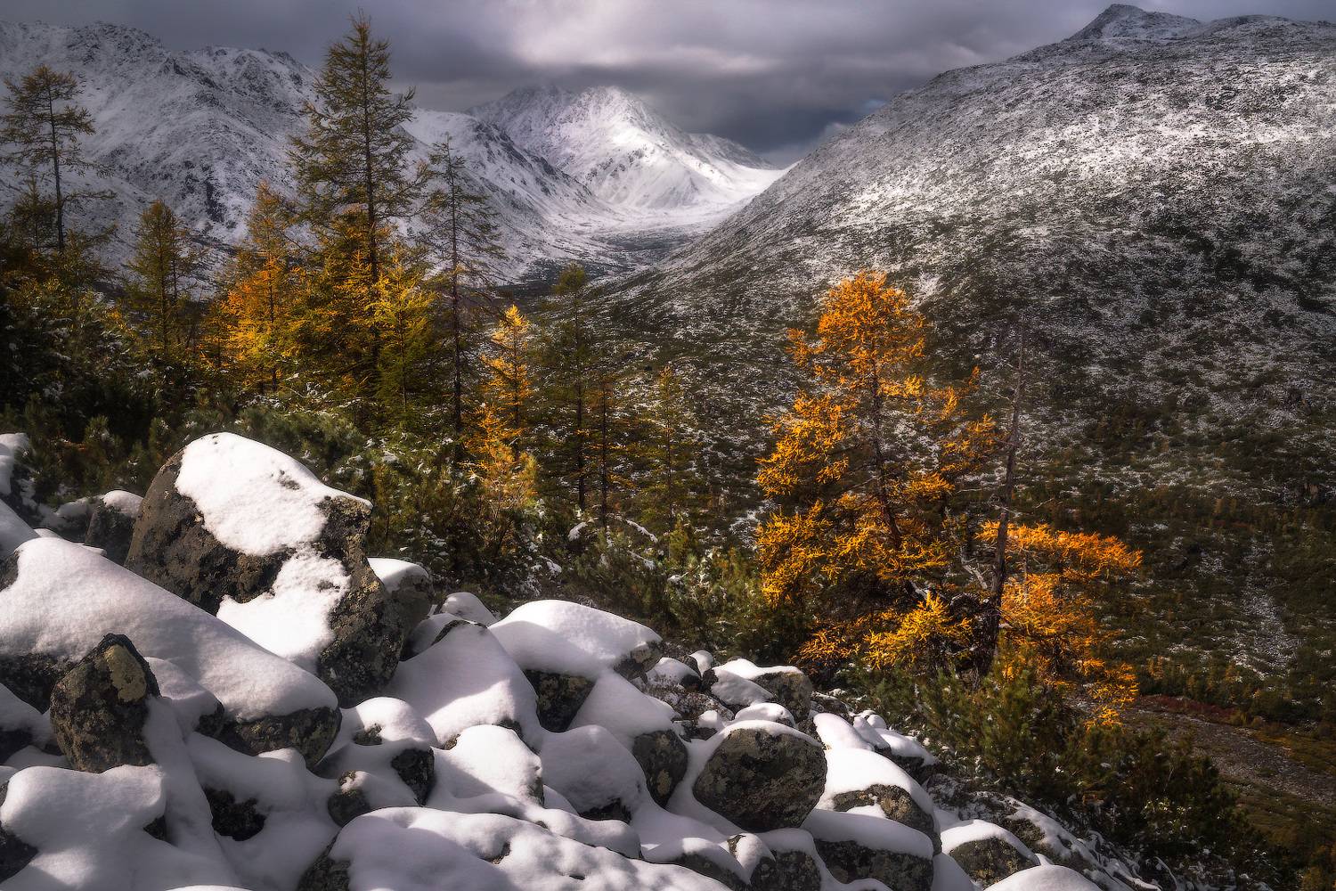 , Владимир Ляпин