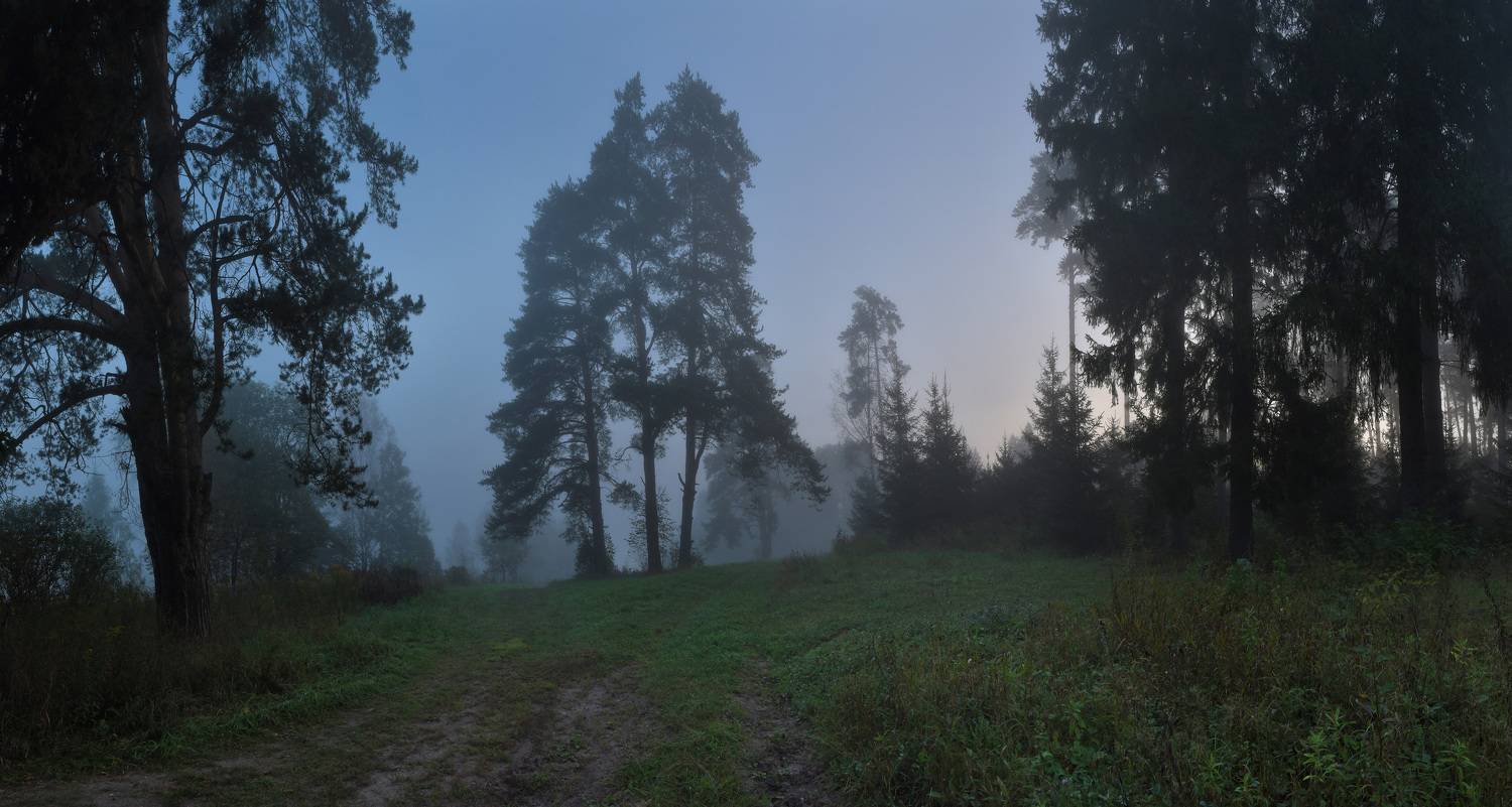 , Макеев Алексей