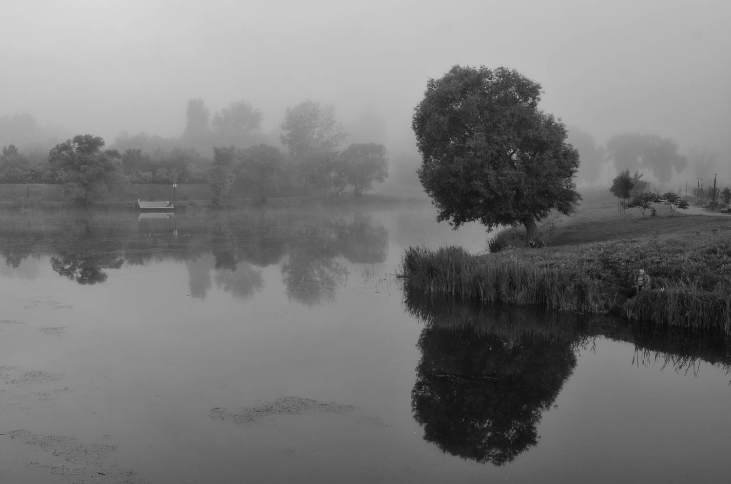 , Гайдук Евгений