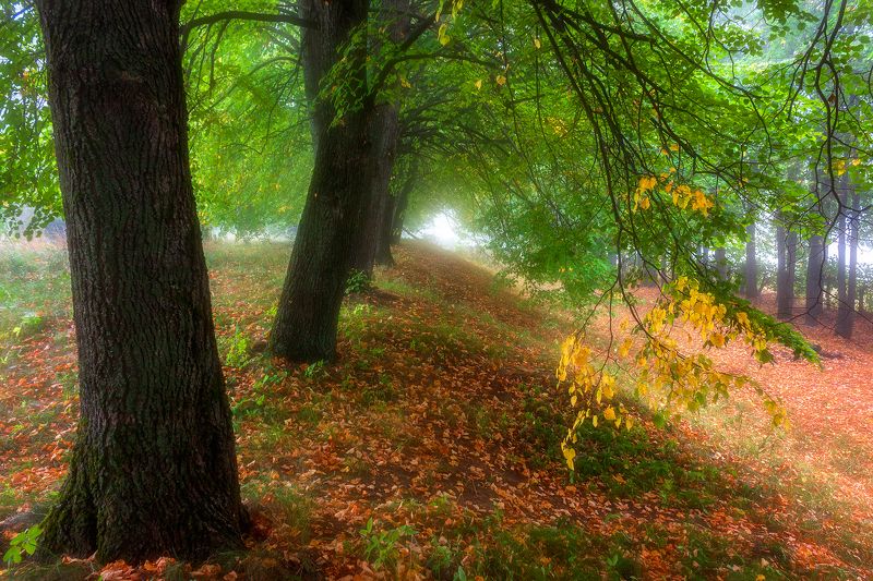 *** фото превью