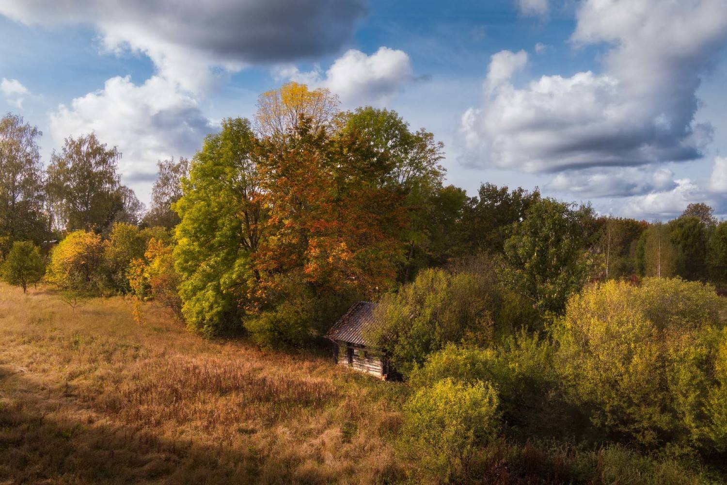 осень, дом, небо, Cтанислав Малых