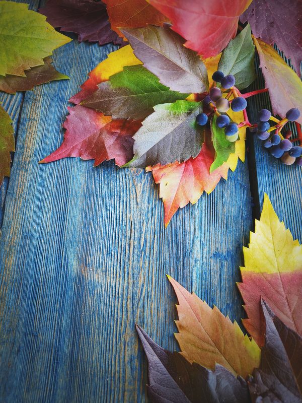 Осенее баловство фото превью