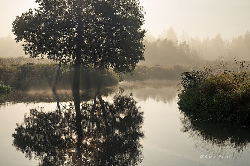 Этюд в тонах сепии фото превью