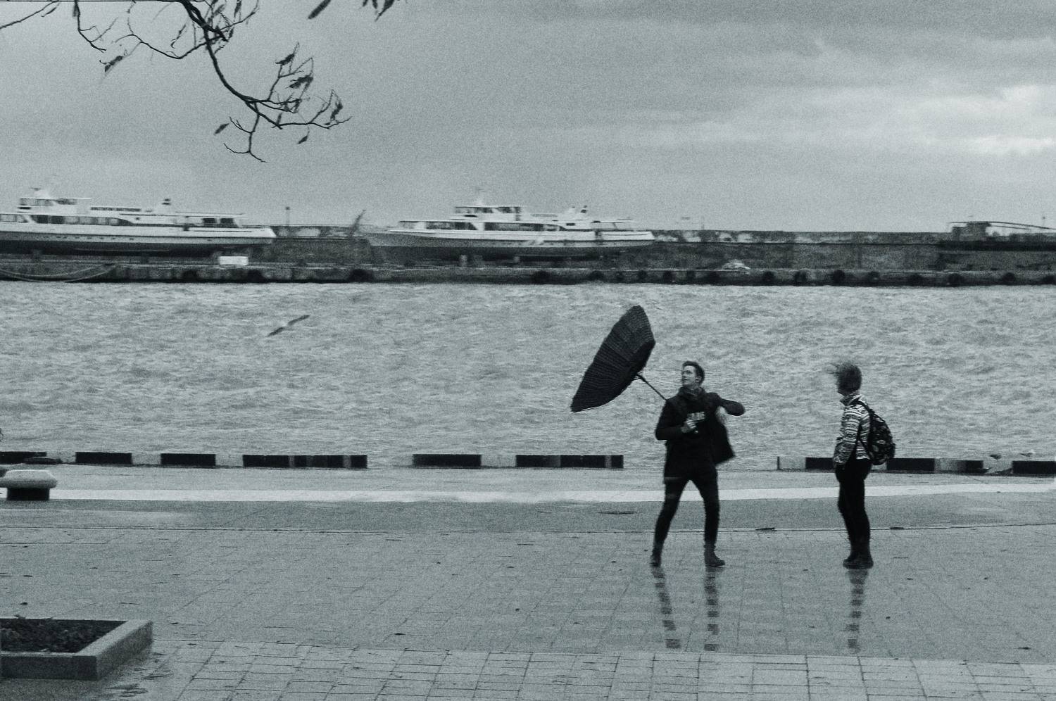 , Ирина Гайворонская