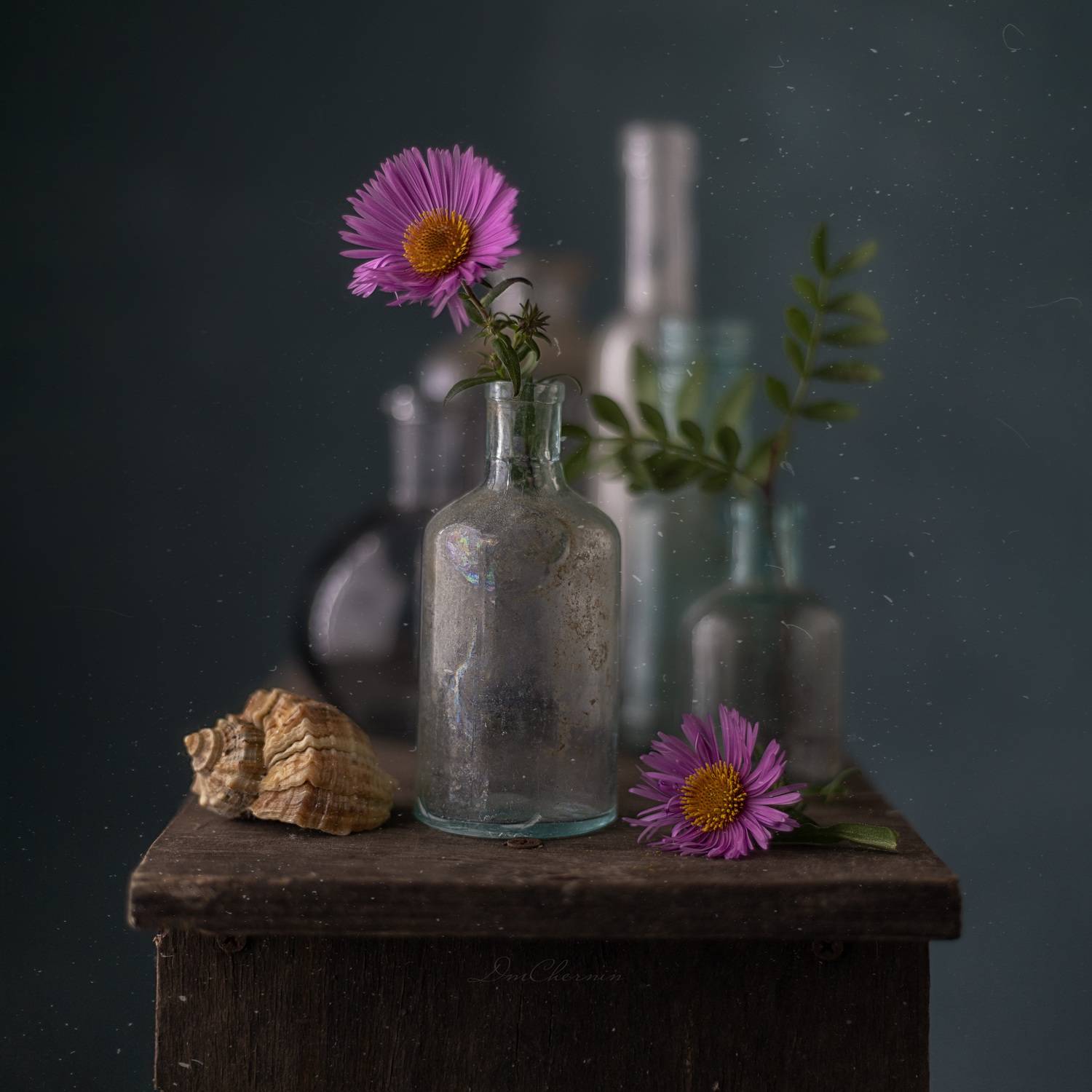 , Чернин Дмитрий