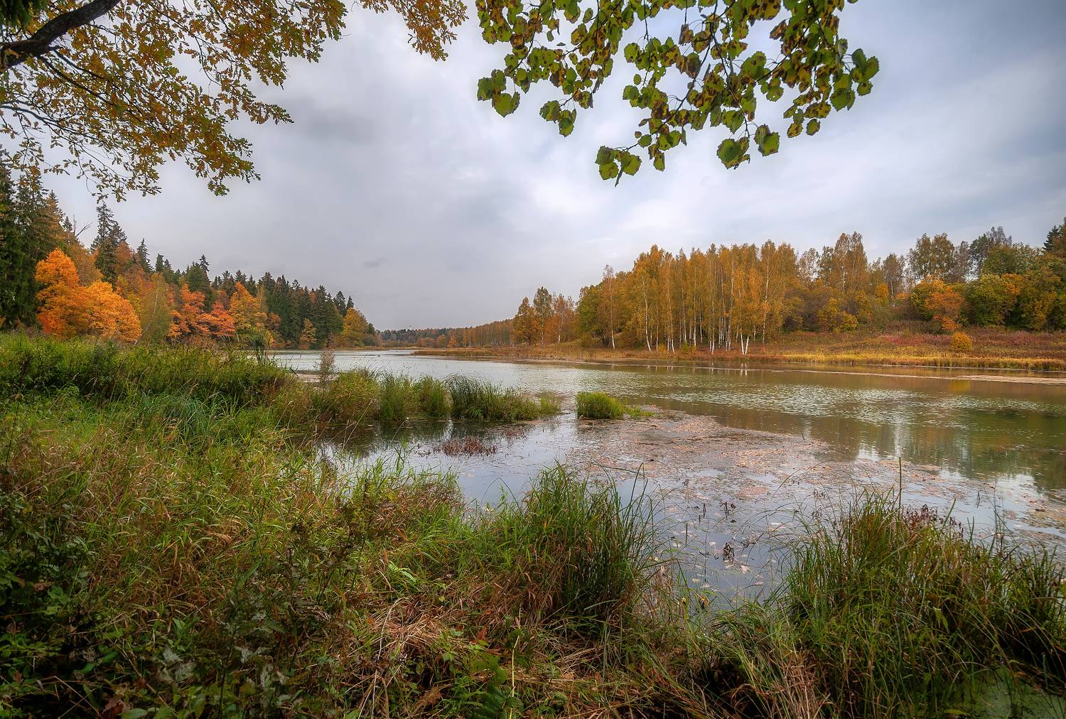 осень, октябрь, дес, река, Сергей Аникин