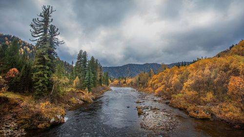 Козырные места на Казыре.